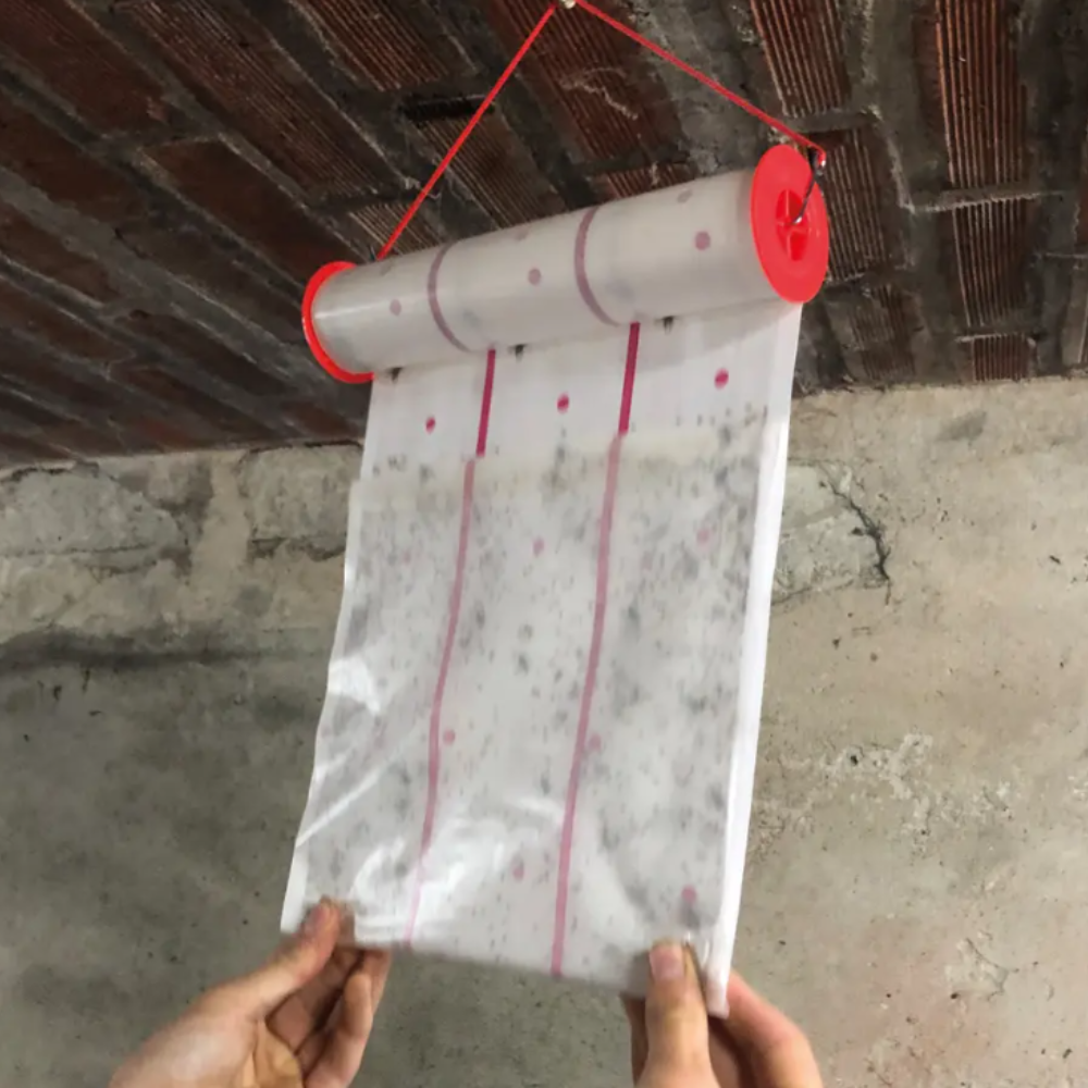 Mušpapīrs rullī MS EcoGlue, 10 m x 25 cm